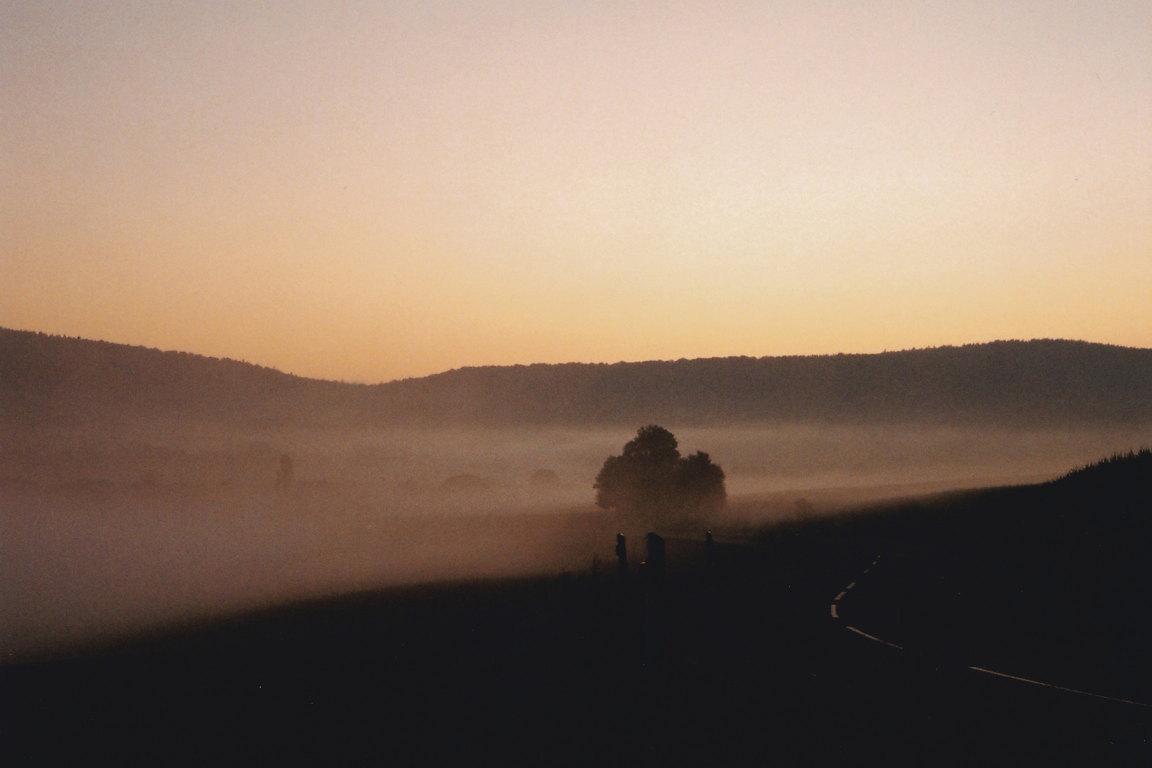 Misty Morning