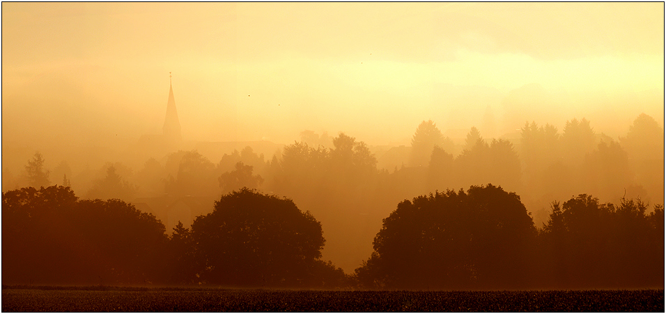 misty morning