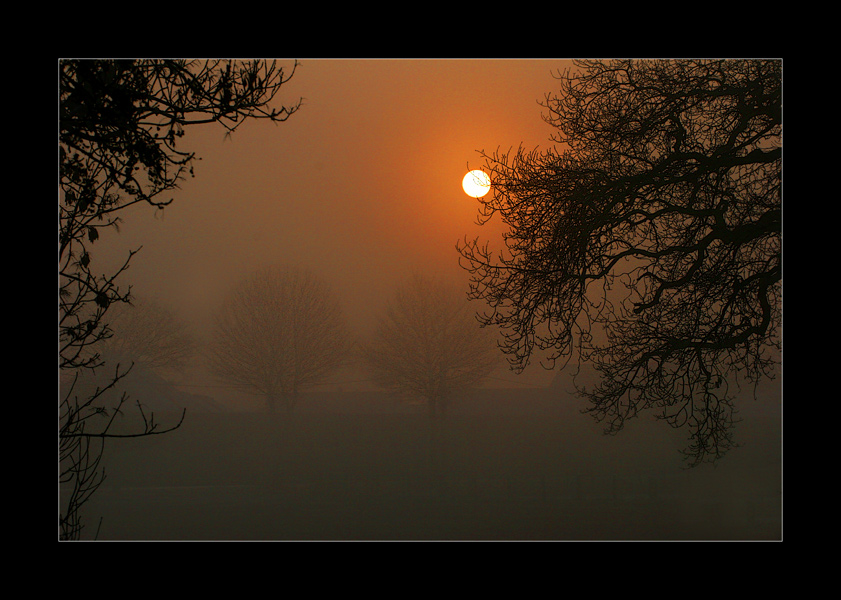 Misty Morning ...