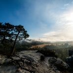 Misty Morning