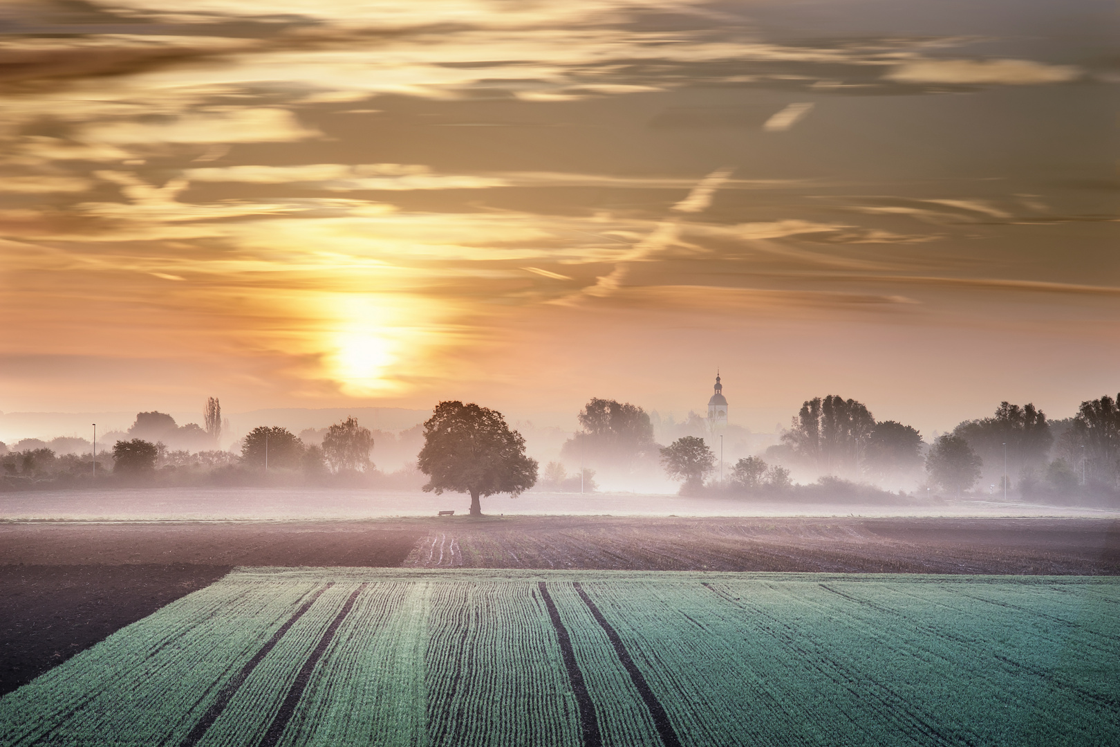 misty morning