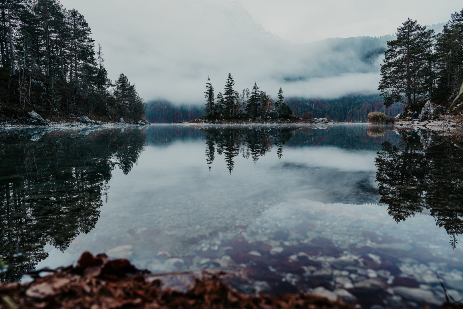 Misty Morning