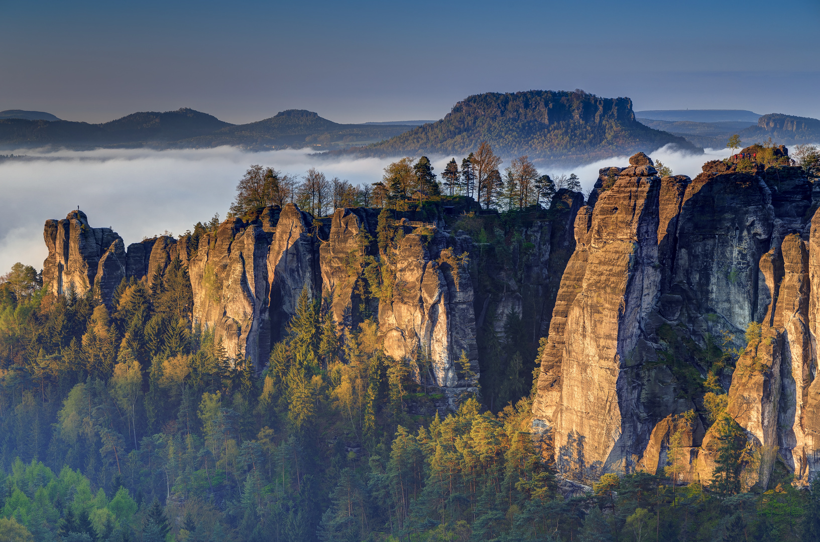 Misty morning