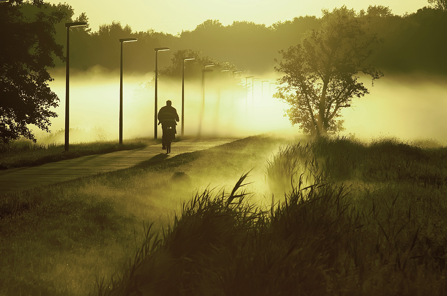 misty morning