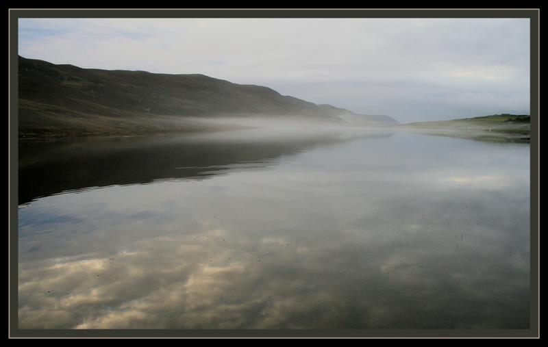 Misty morning