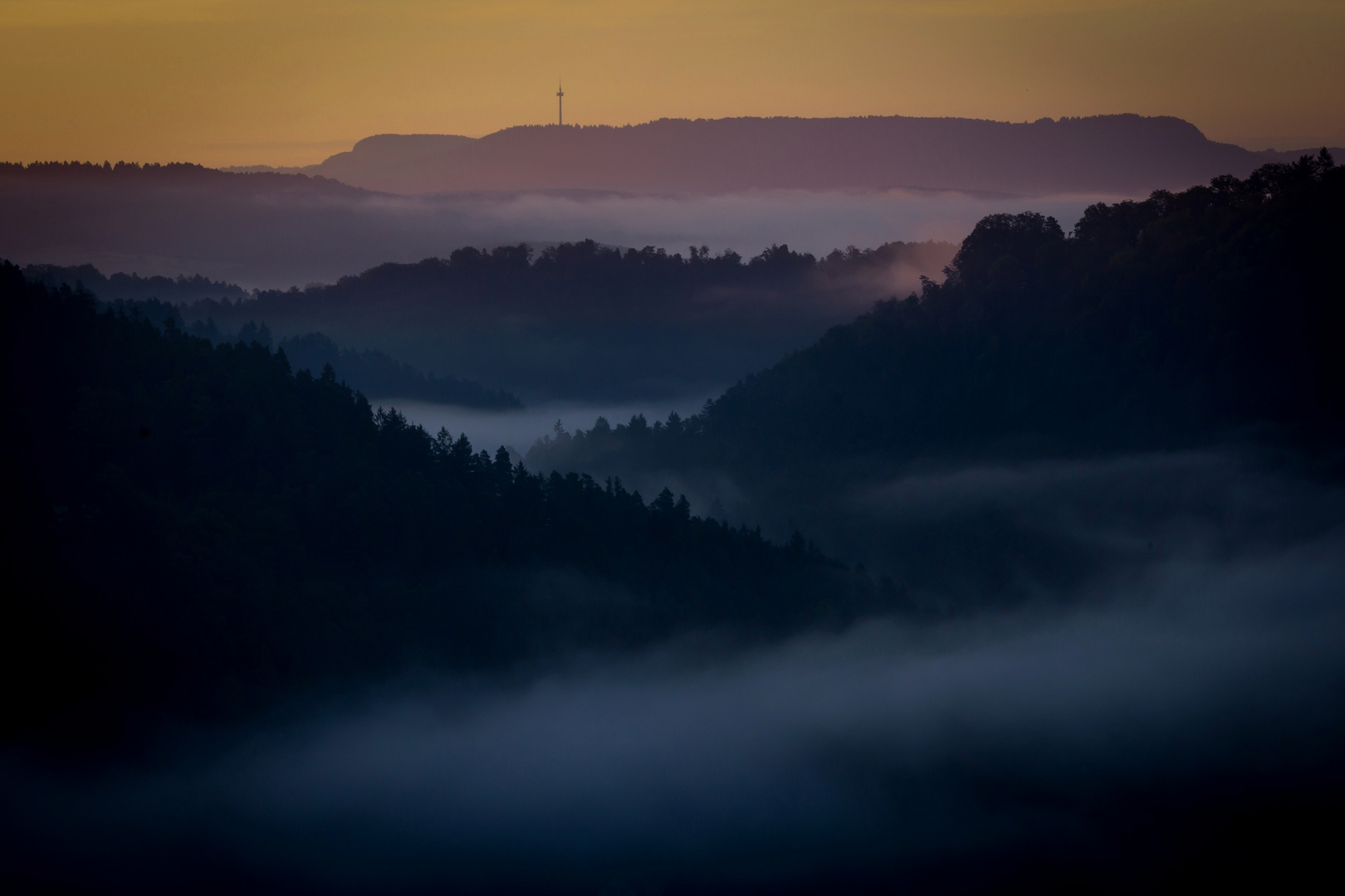 Misty Morning