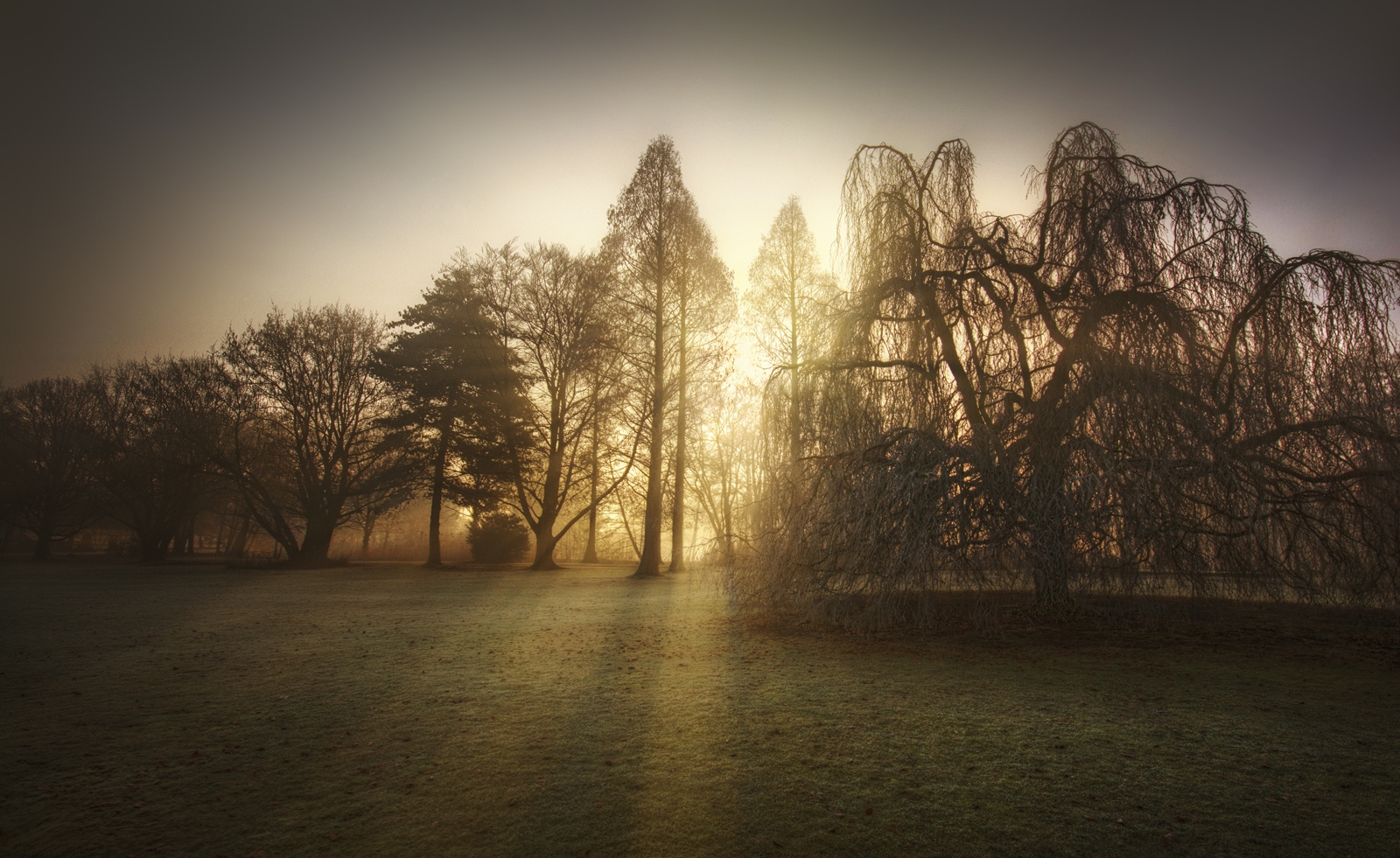 Misty Morning