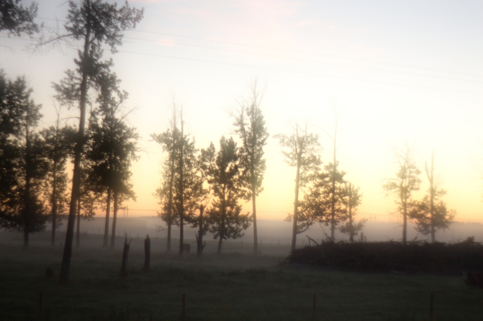Misty Morning