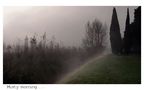 Misty morning... von Paolo Vannucchi 