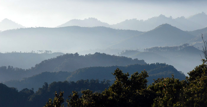 misty morning