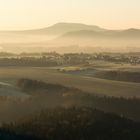 Misty Morning