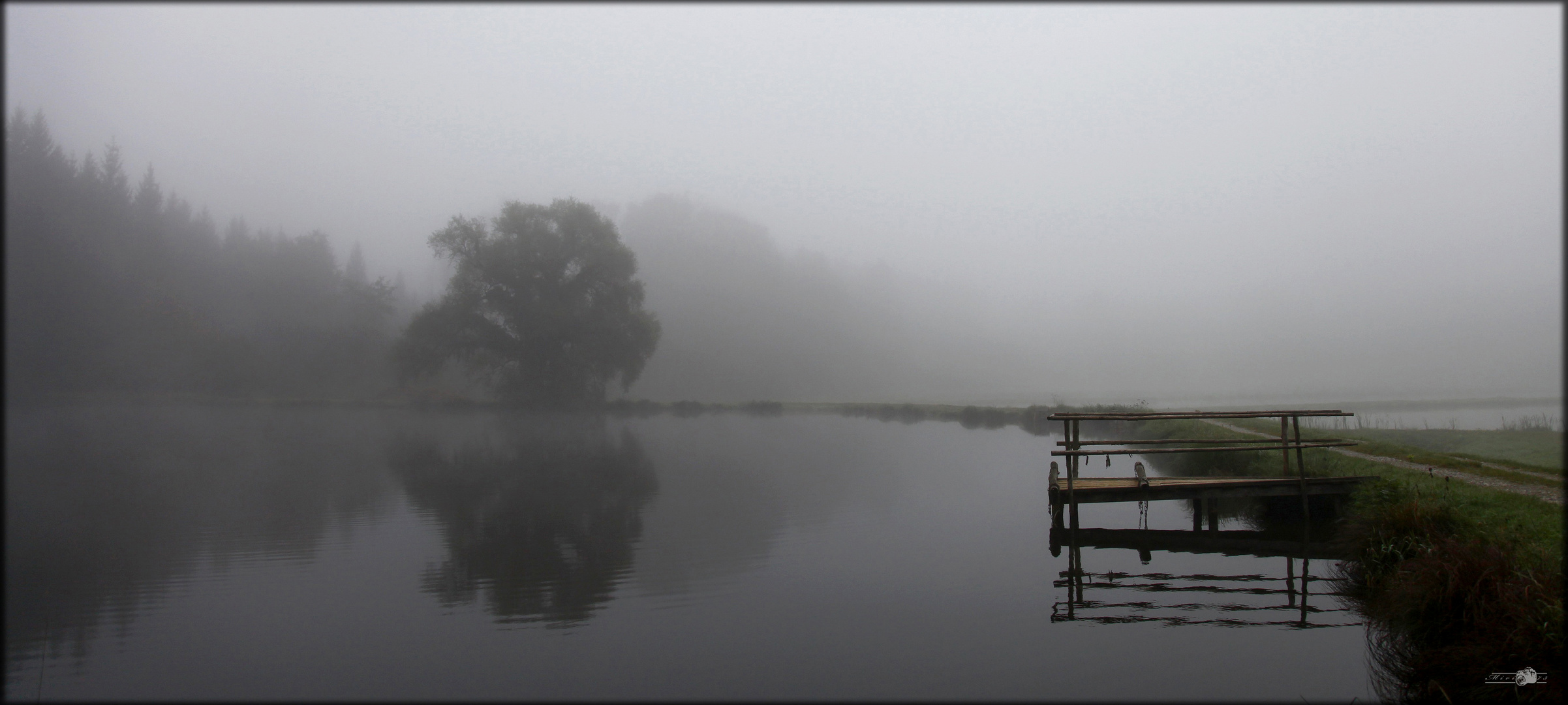 misty morning