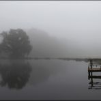 misty morning