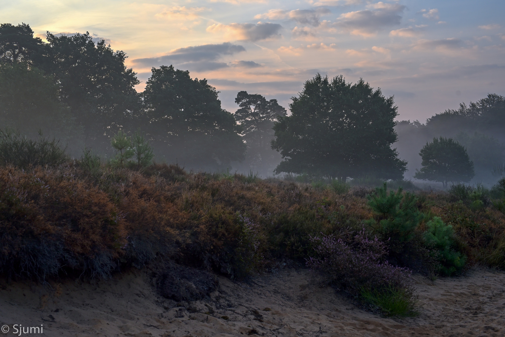 Misty morning