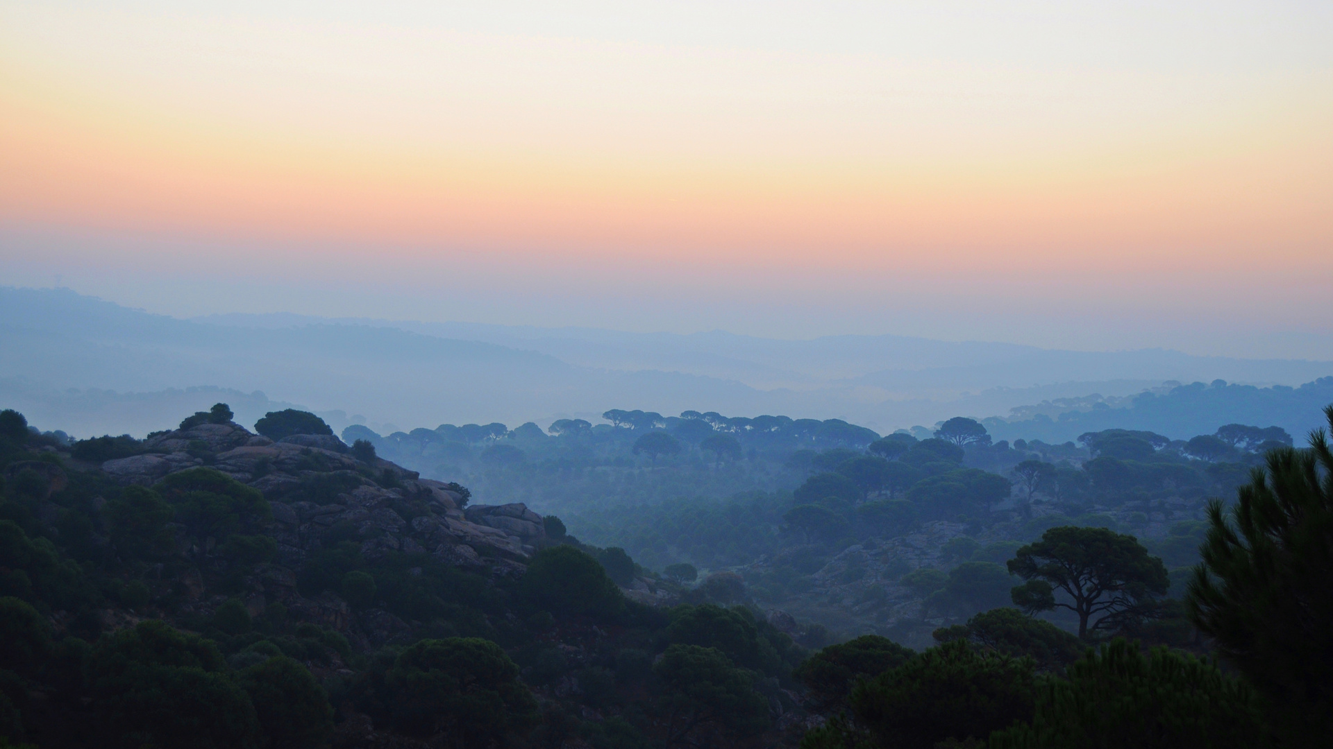 Misty morning