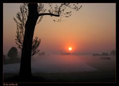 misty morning