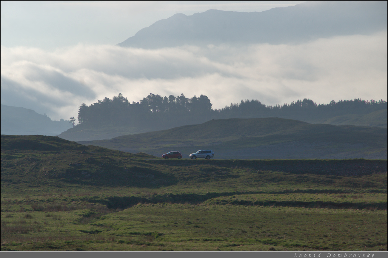 Misty morning