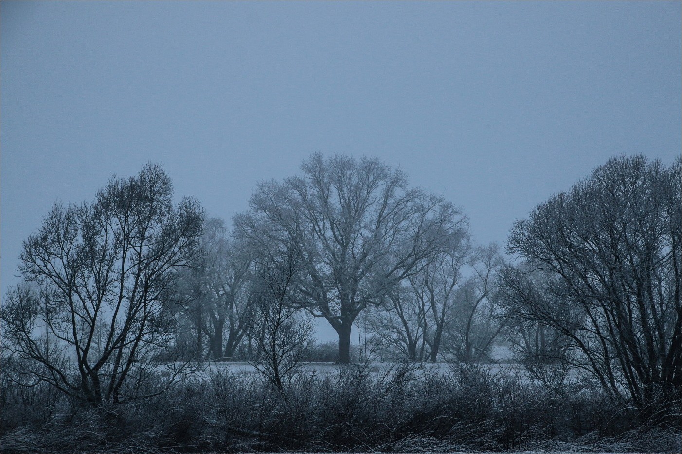 Misty Morning Blue