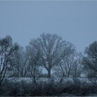 Misty Morning Blue