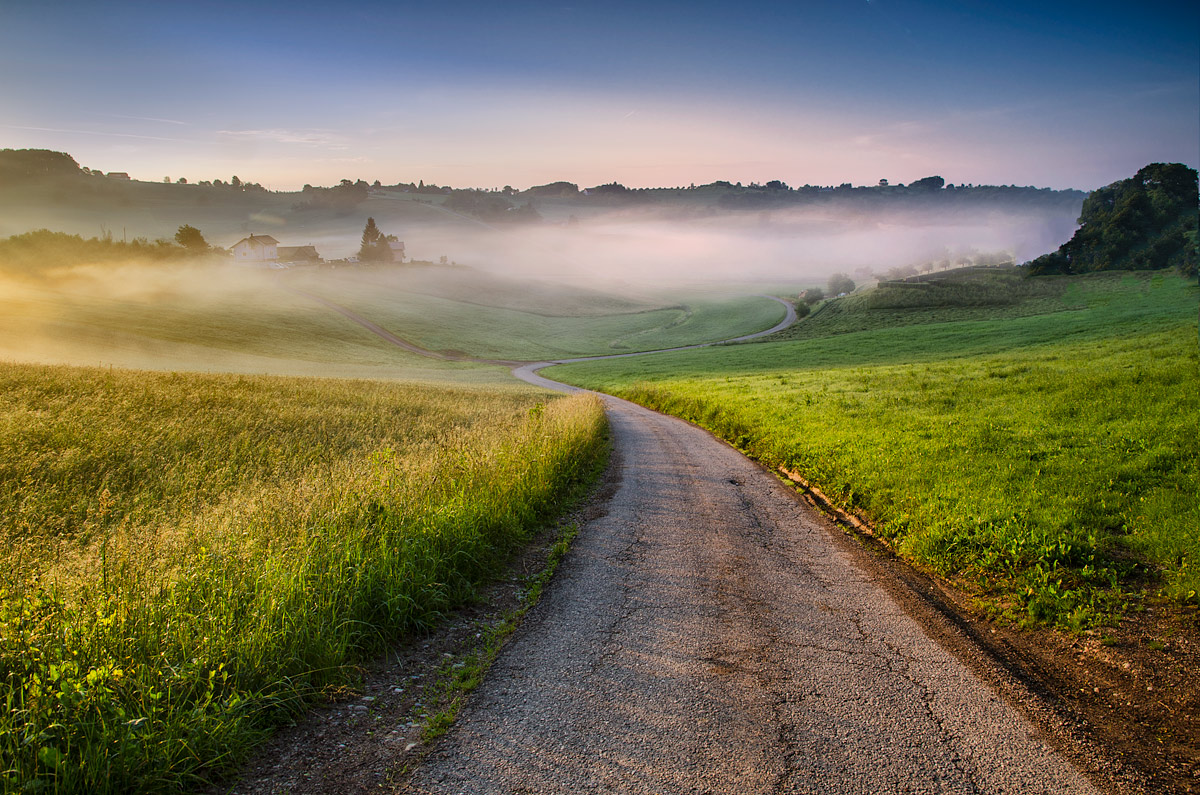 Misty morning