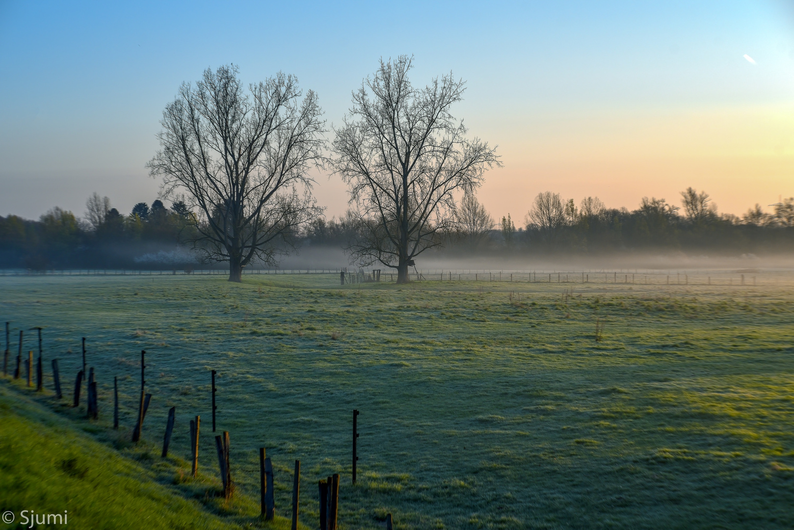 Misty morning