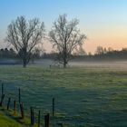 Misty morning