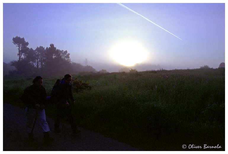 Misty Morning (Camino de Finisterre, 6)