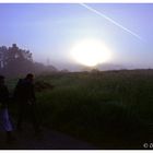 Misty Morning (Camino de Finisterre, 6)