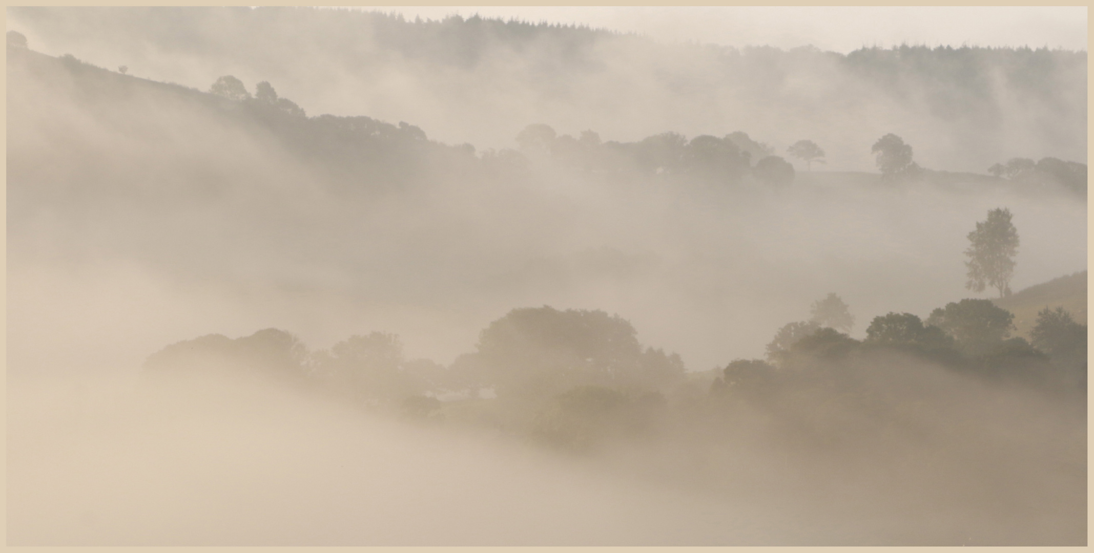 misty morning  Coly Valley 12