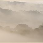 misty morning  Coly Valley 12