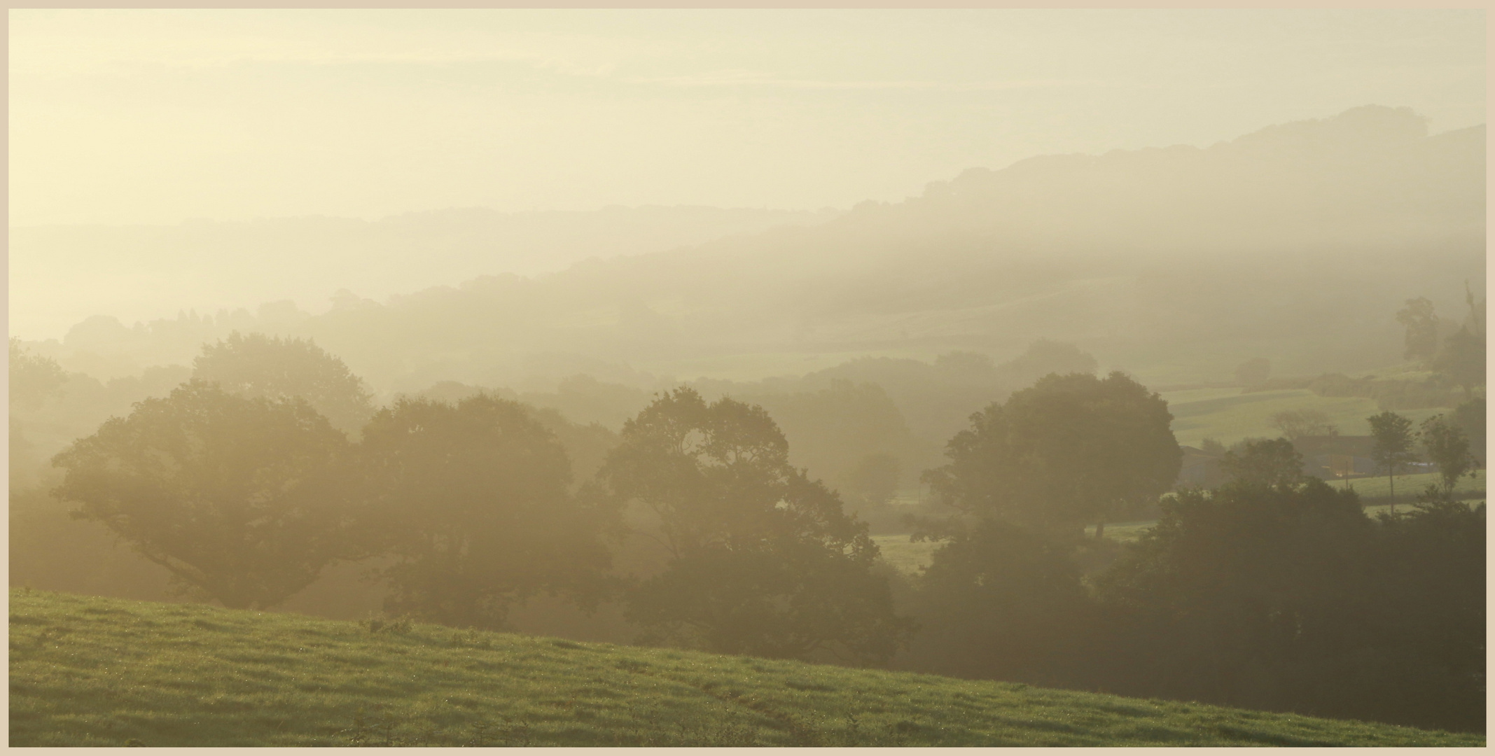 misty morning Coly Valley 6