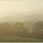 misty morning Coly Valley 6