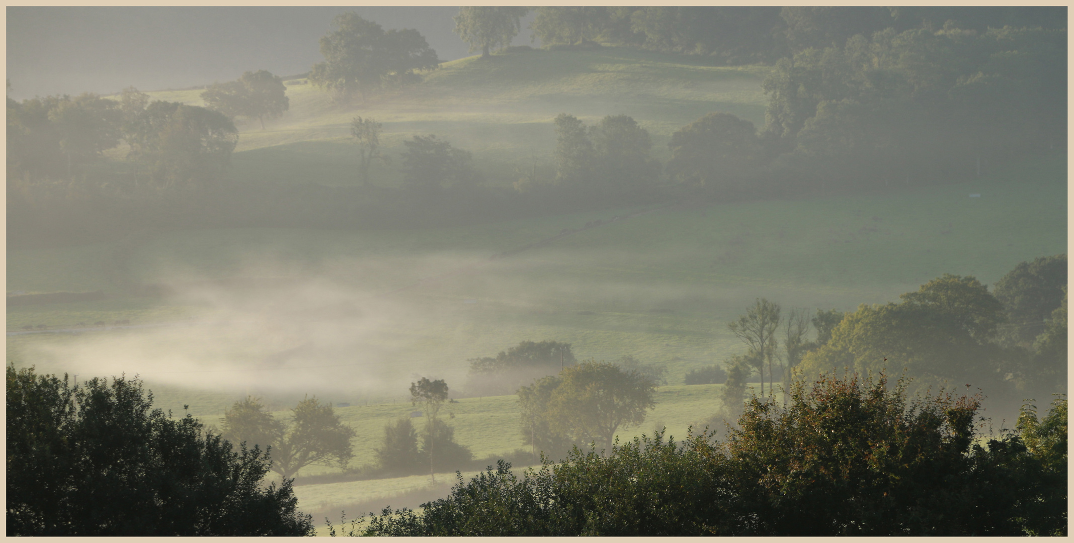 misty morning Coly Valley 7