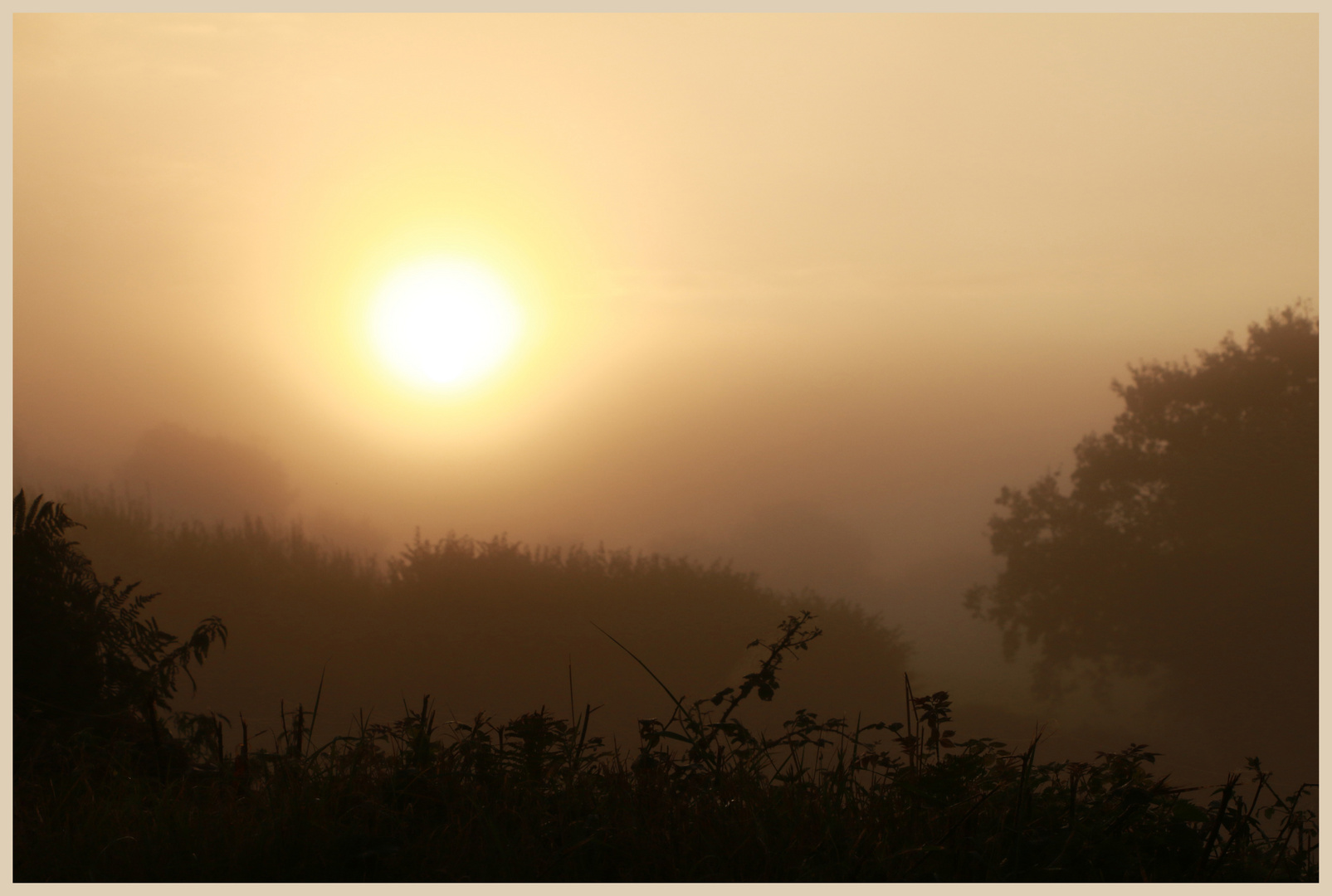 misty morning  Coly Valley 9