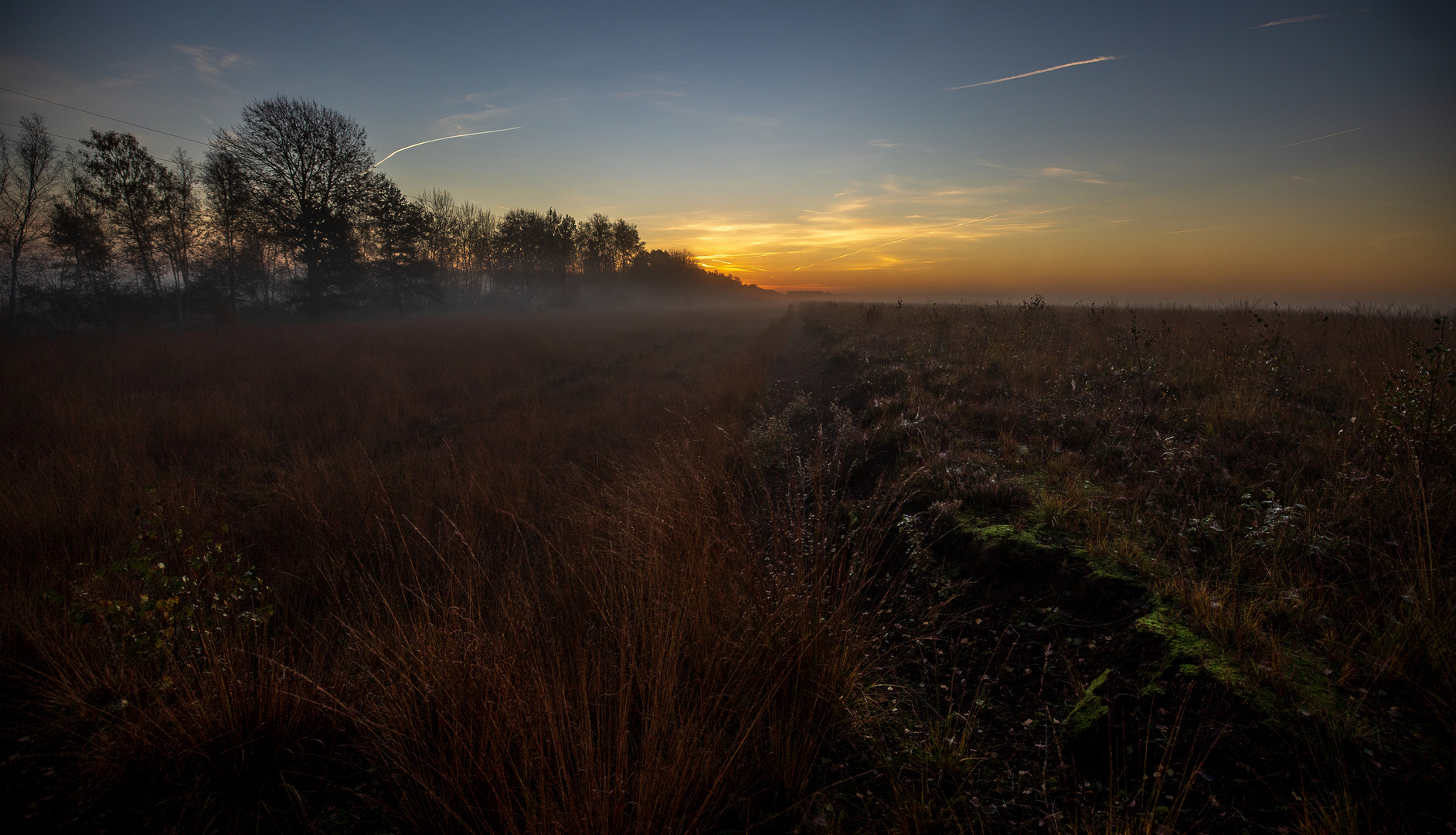 Misty Morning  -