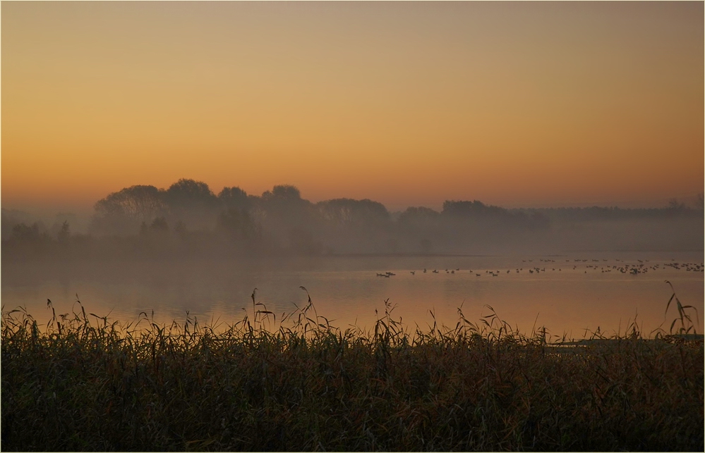 * Misty Morning *