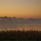 * Misty Morning *