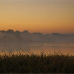 * Misty Morning *