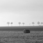 misty morning 