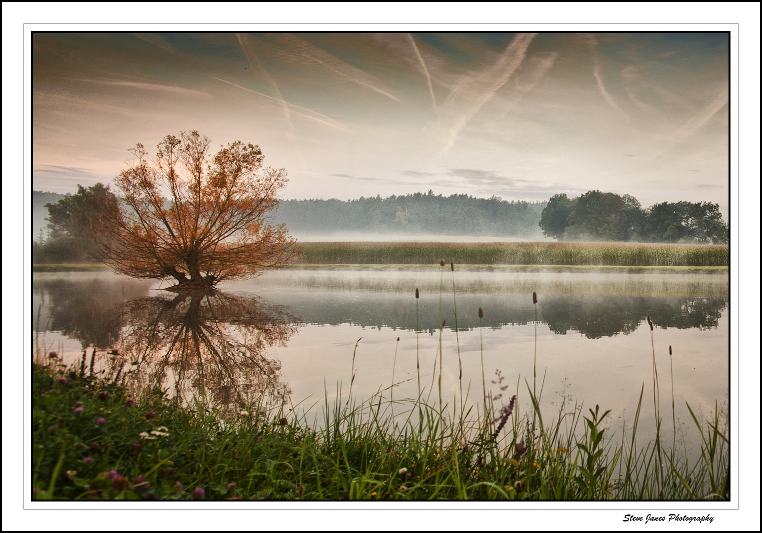 Misty Morning