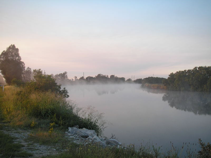 Misty morning