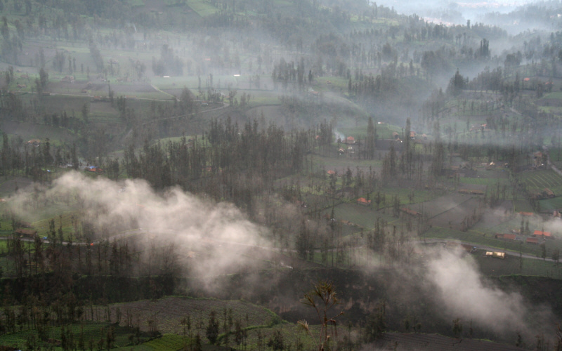 misty morning