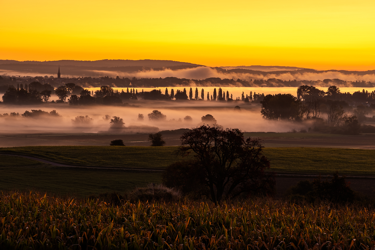 misty morning