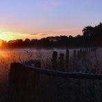 Misty morning