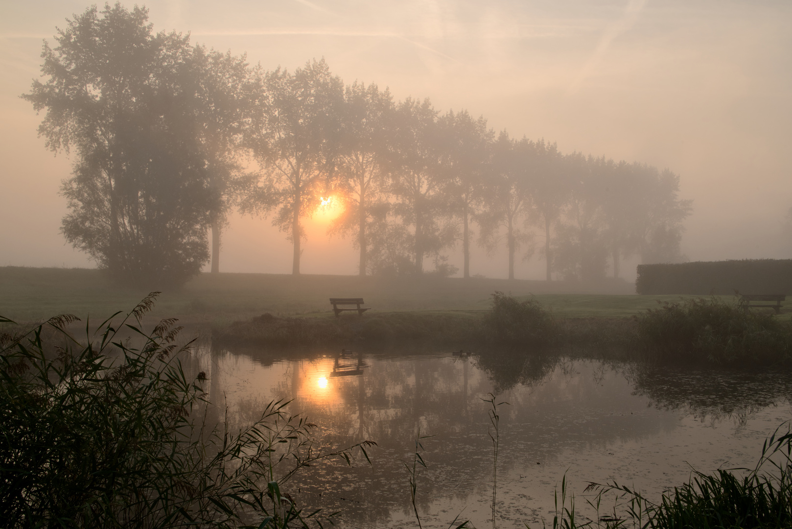 Misty Morning