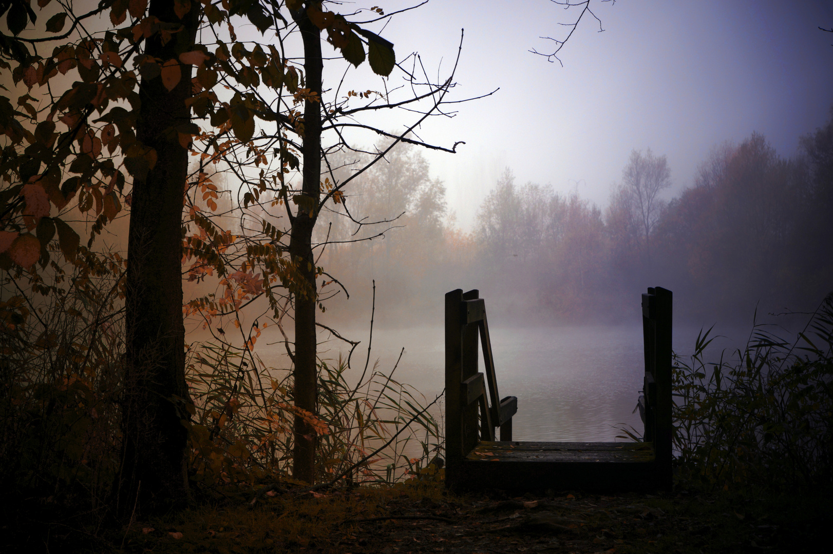 Misty morning