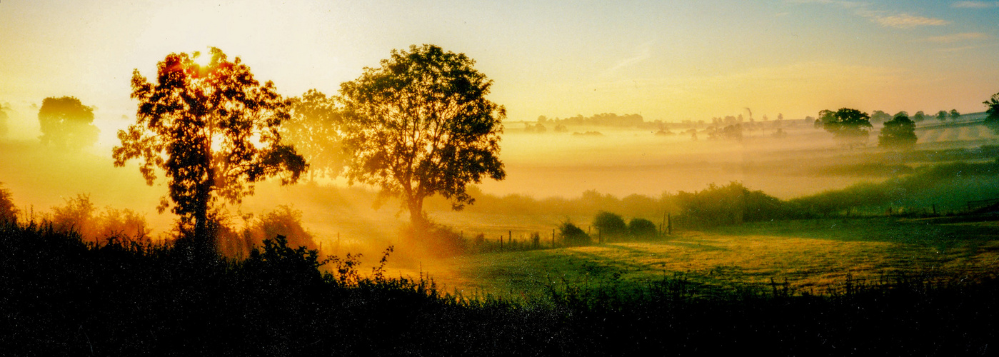 Misty morning