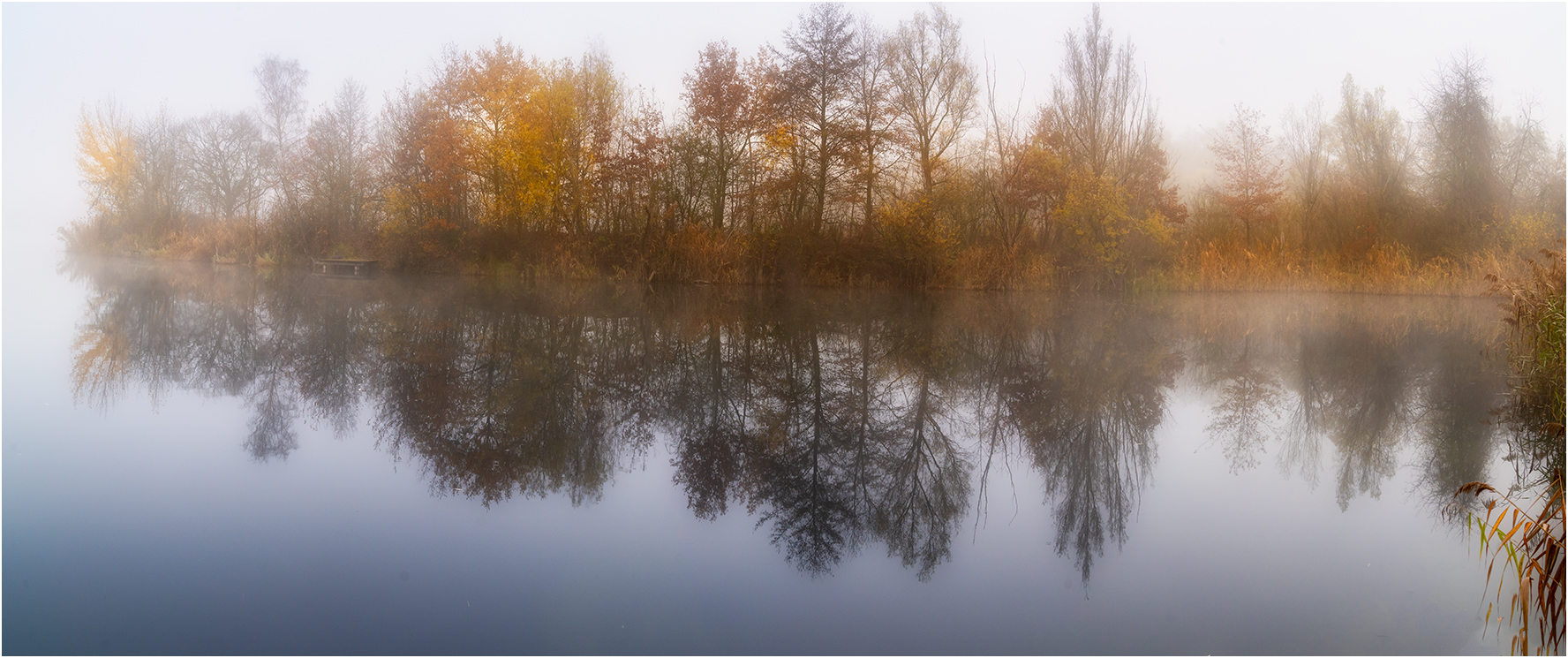 Misty morning