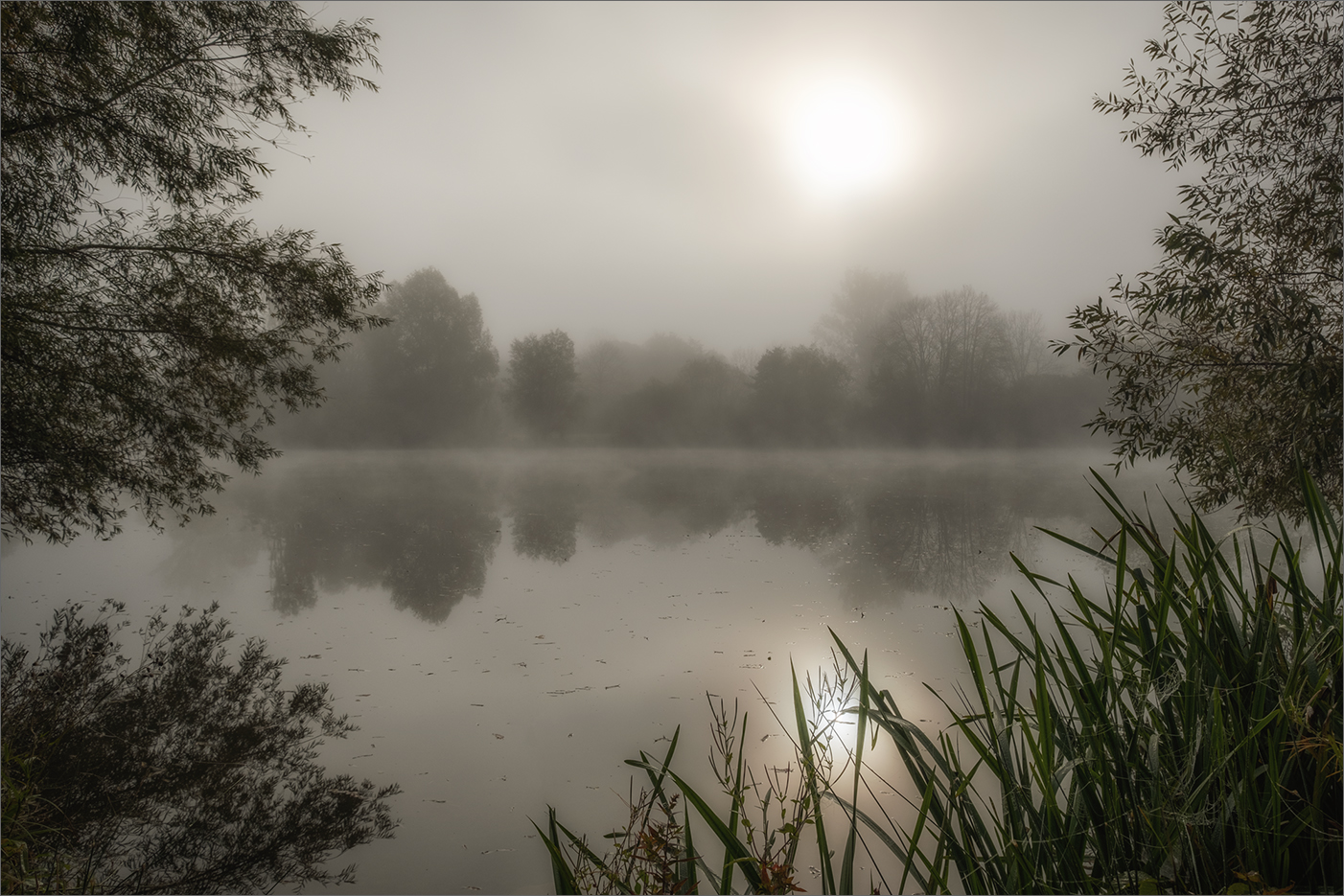 misty morning