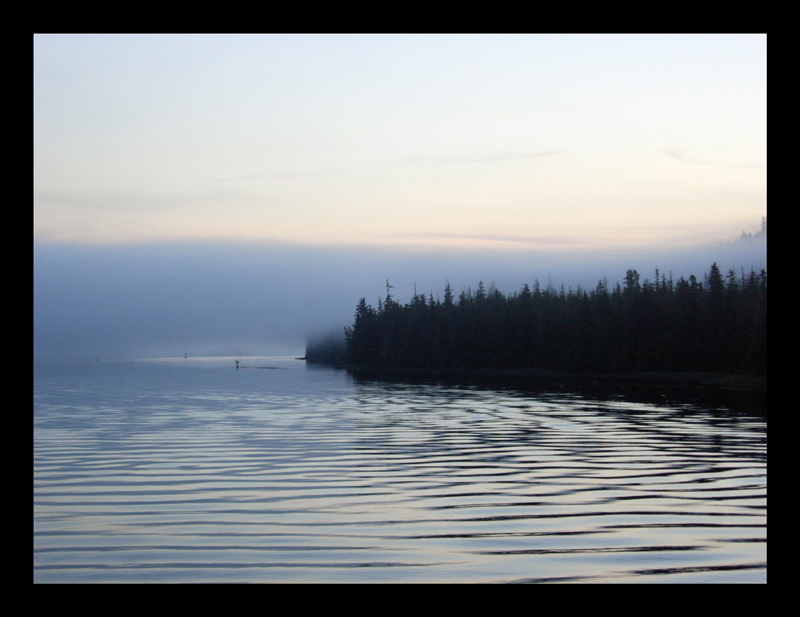 misty morning